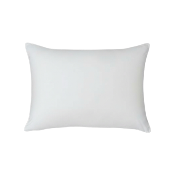 3 Chamber Natural Pillow